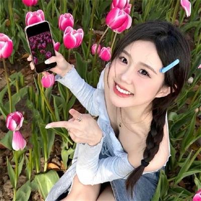 公主请回家